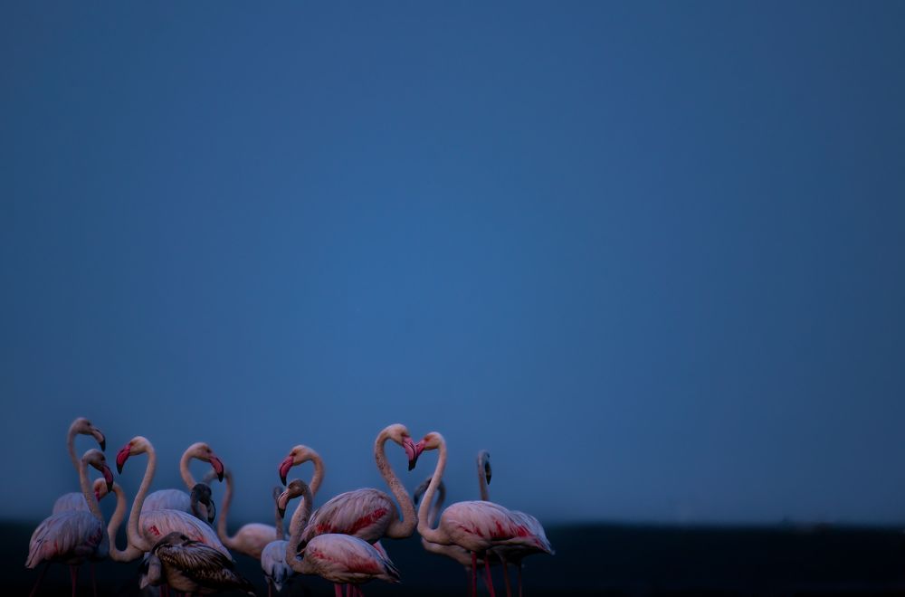 Photograph by Darshan Patil