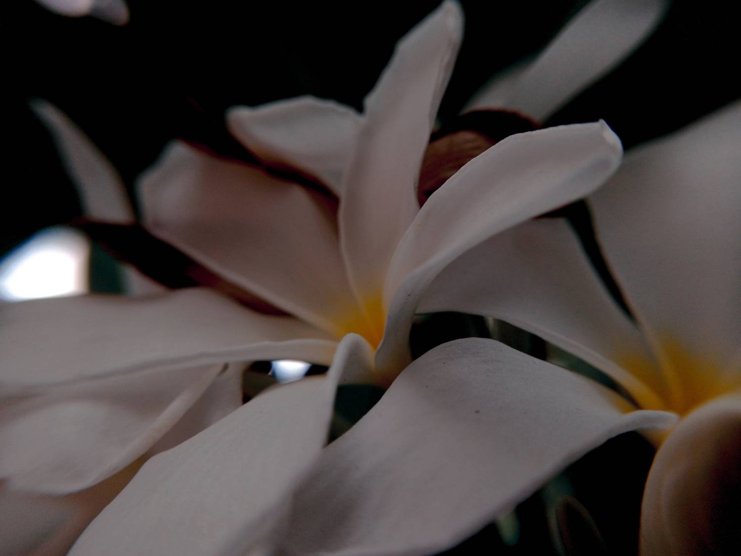 Photo #10912500