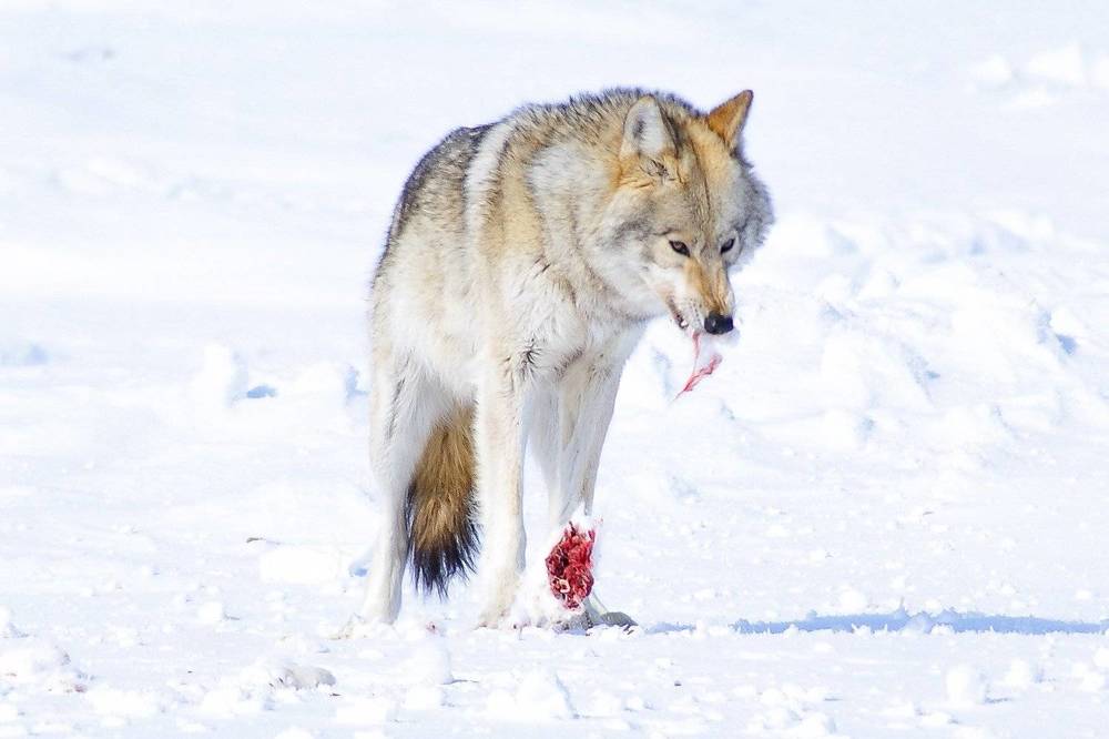 Photograph by Андрей Загребельный