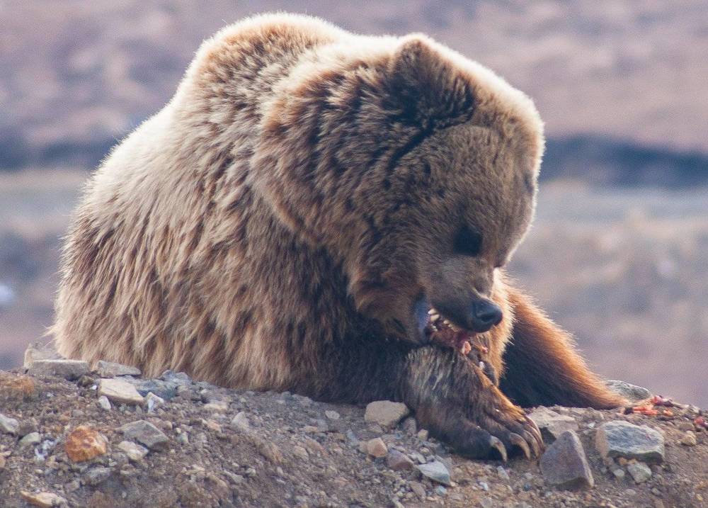 Photograph by Андрей Загребельный