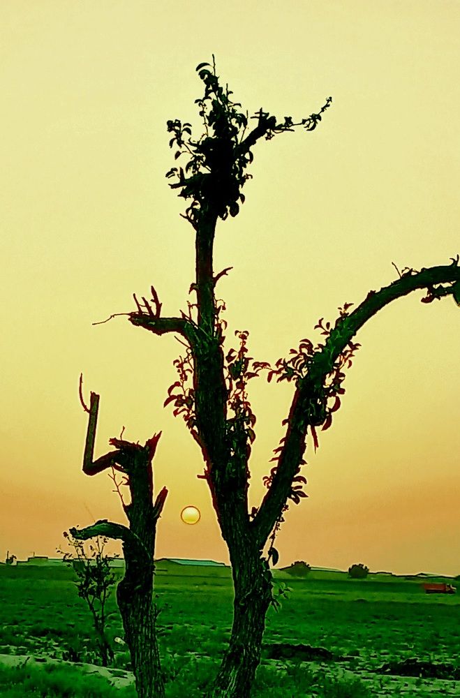 Фотография автора HR ABADEHI