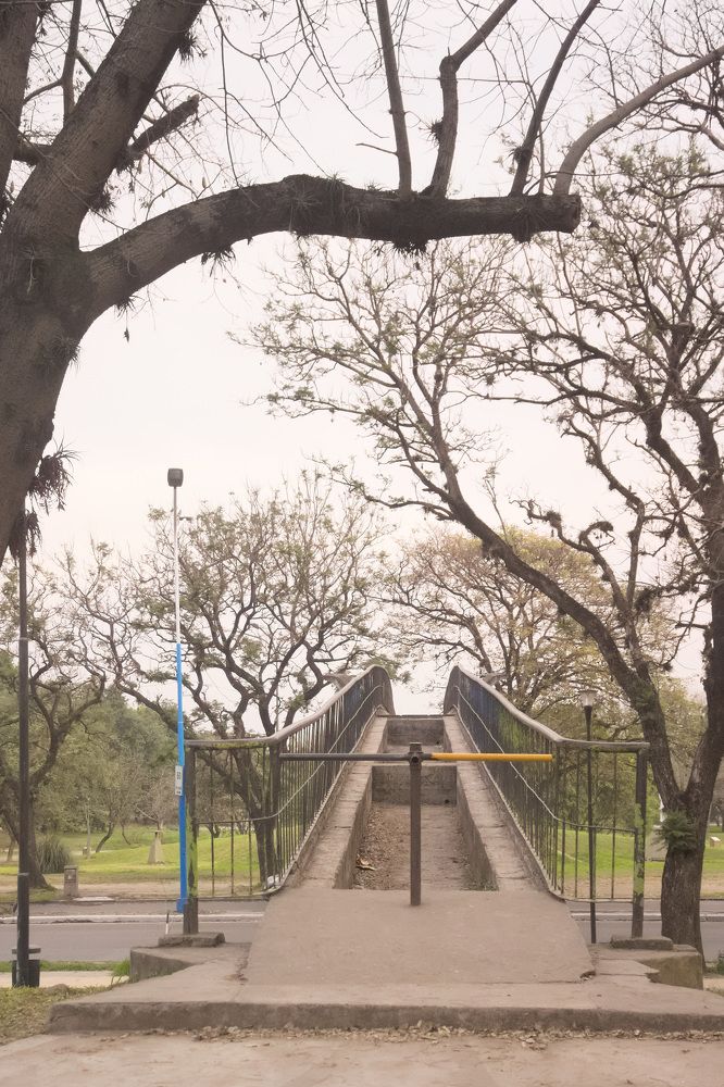 Photograph by Guillermo Topp