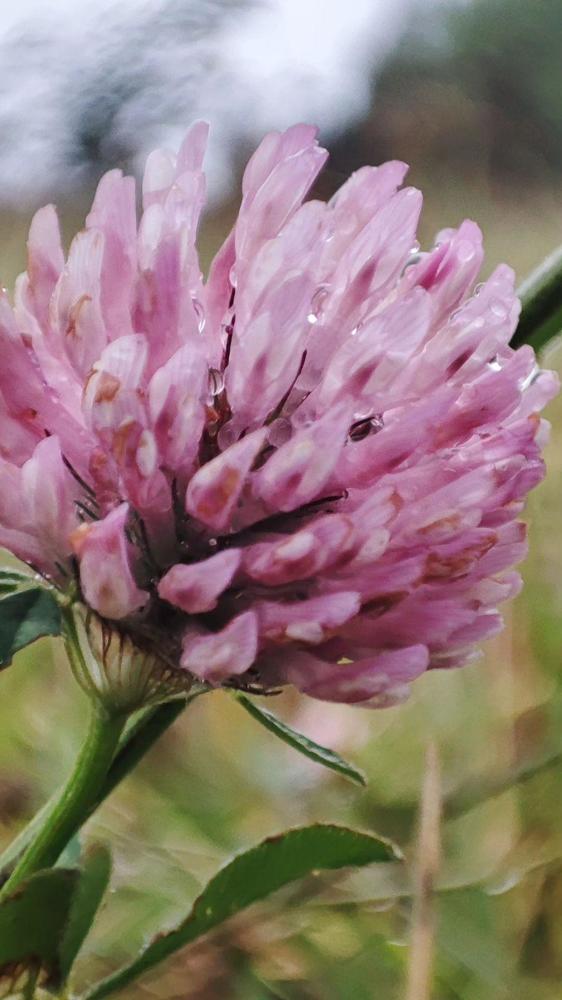 Photograph by Анна