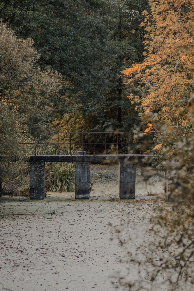 Photograph by Елена Квасова