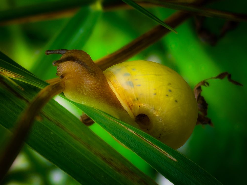 Photograph by Юлия Крюкова