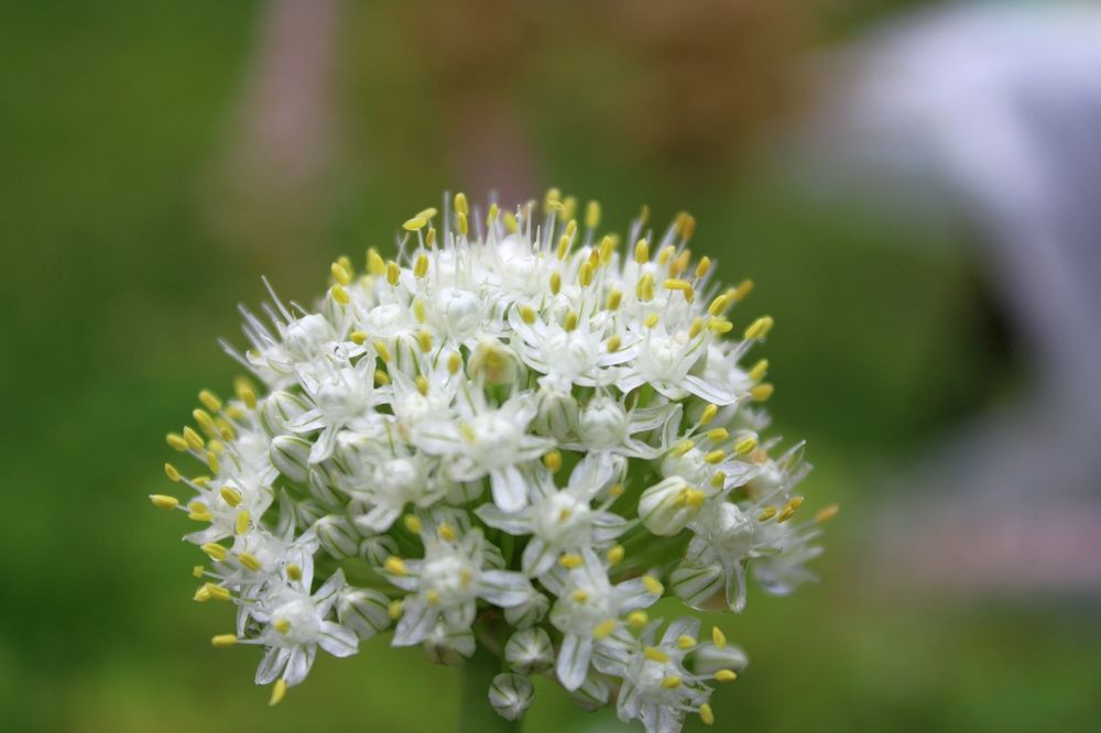 Photograph by Olga Bagaeva