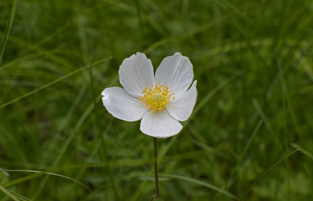 Photograph by Маринова Марина