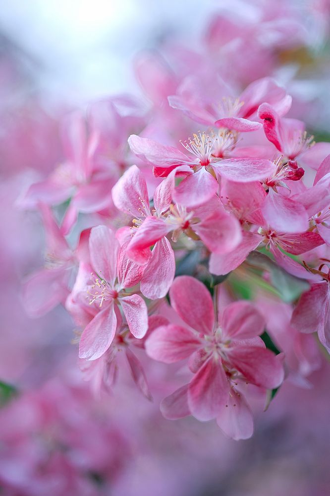 Photograph by Natalia Antipas