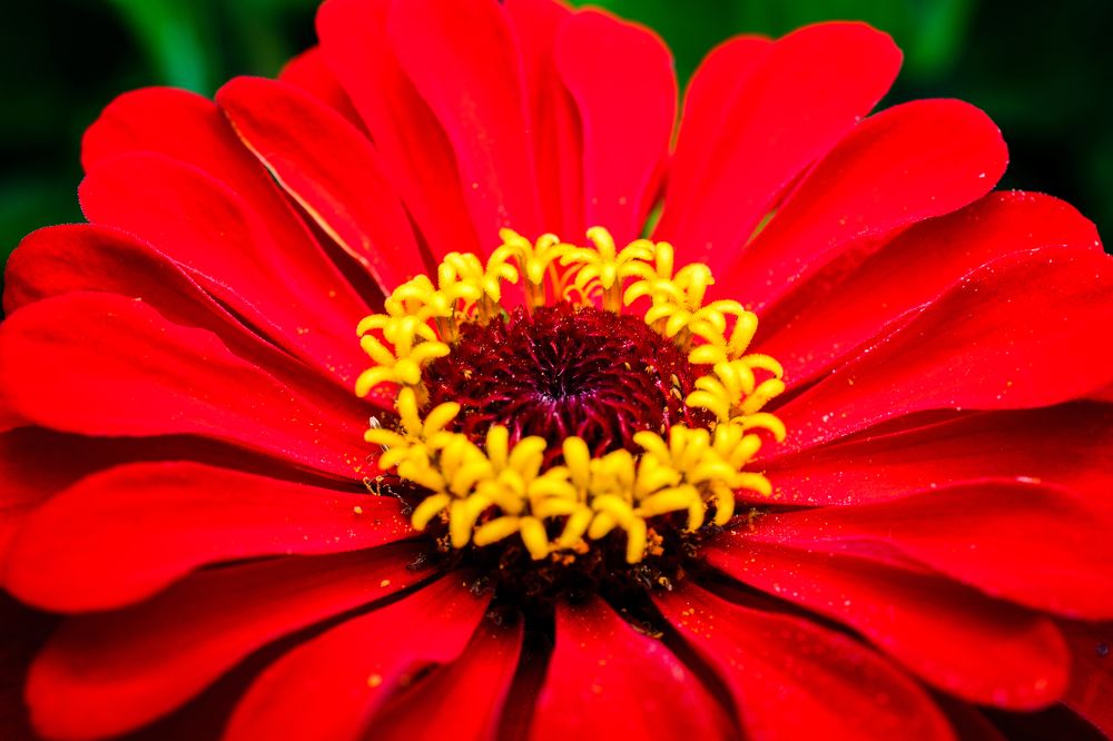 Photograph by Евгений Жуланов