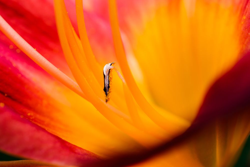 Photograph by Евгений Жуланов