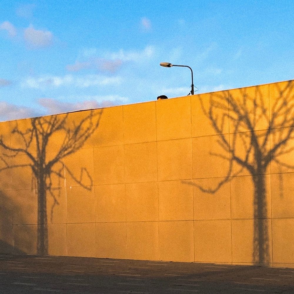 Photograph by Елена Шевченко