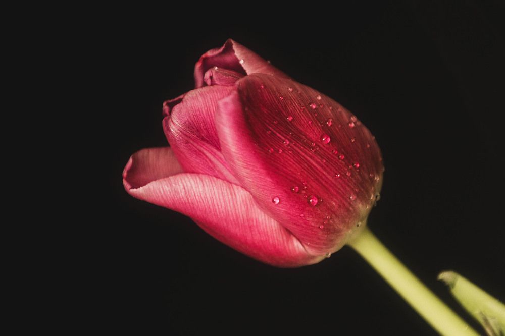 Photograph by ИРЕНА Цурпал