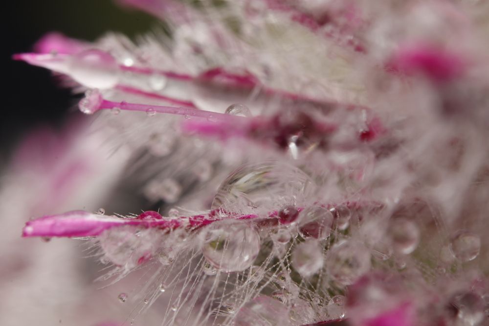 Photograph by Andrei Sabanov