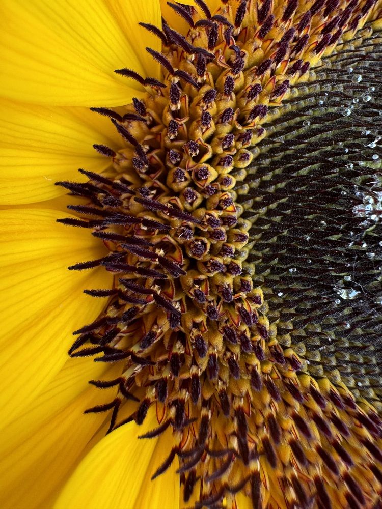 Photograph by Marianna Zakirova