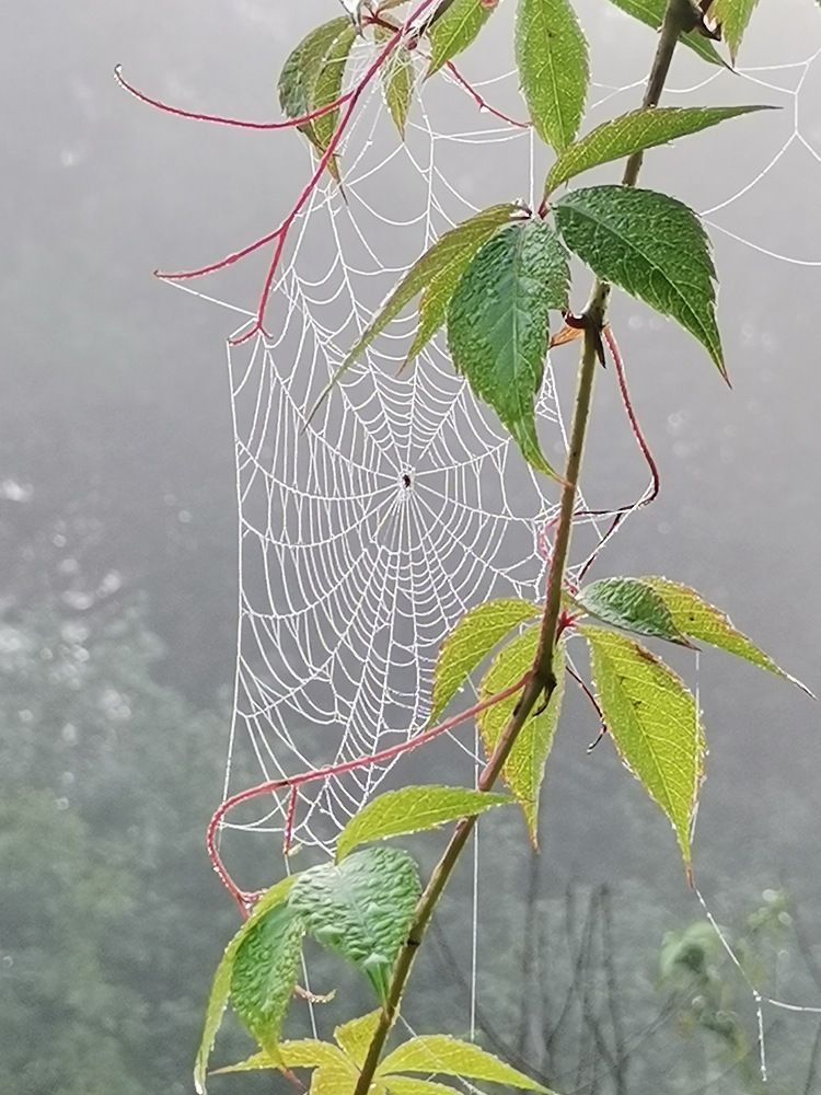 Photograph by Ирина Садовникова