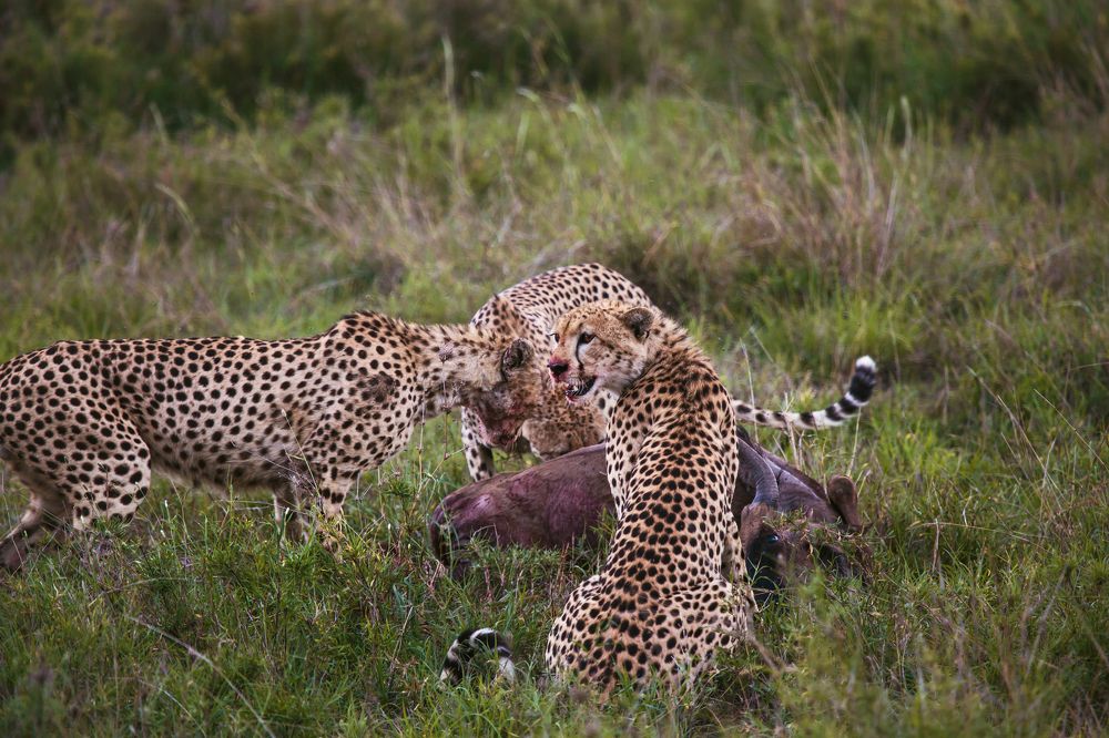 Photograph by Станислав Дроздов