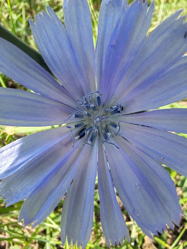 Photograph by Ивашкин Алексей