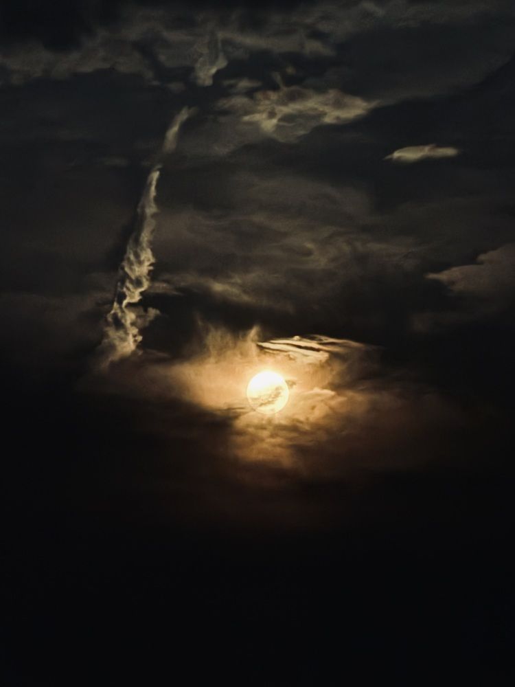 Photograph by Marianna Zakirova