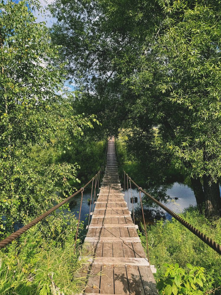 Photograph by Анна Конусова