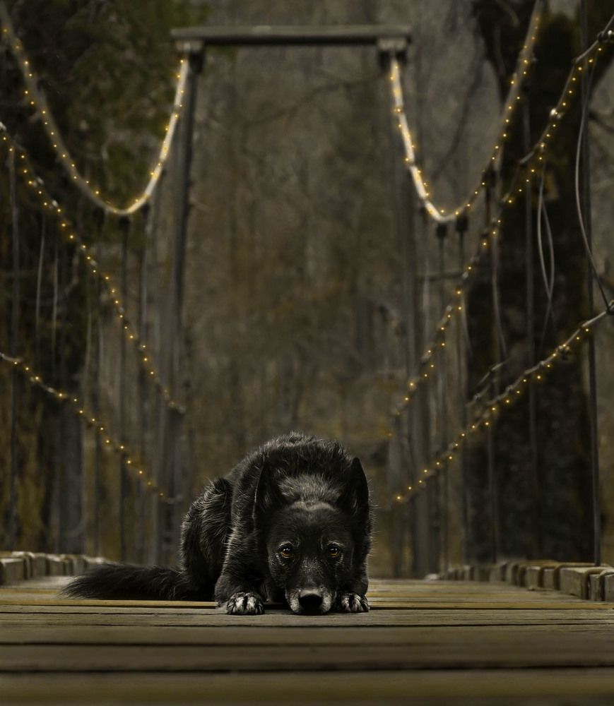 Photograph by Gorana Abramović