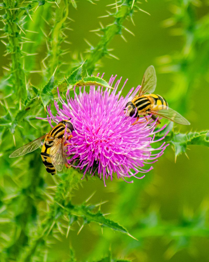 Photograph by Антон Глухов