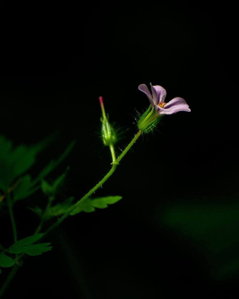 Photograph by Антон Глухов