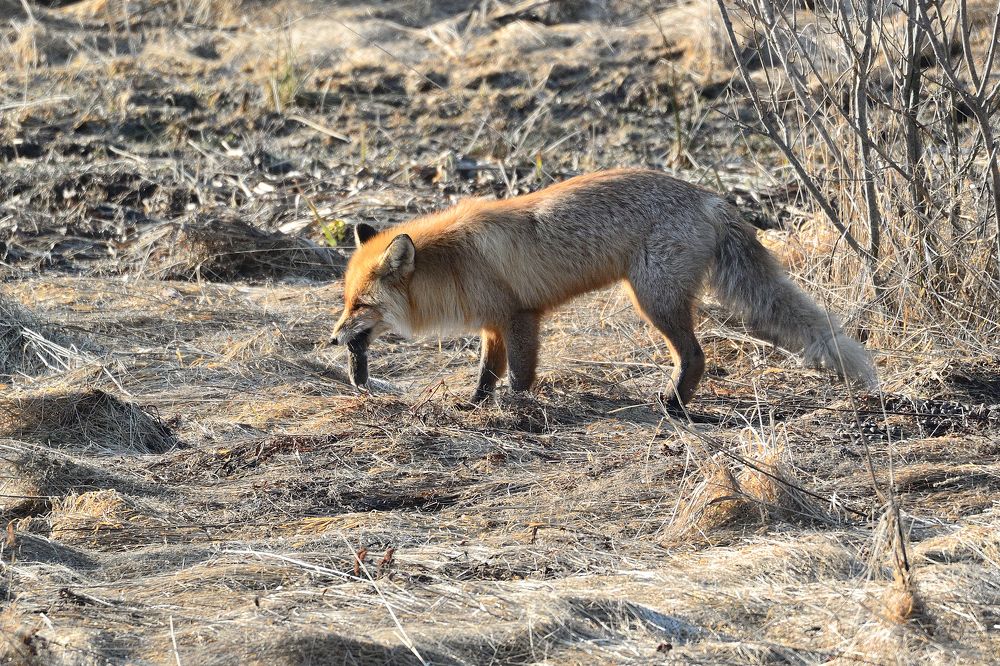 Photograph by Василий