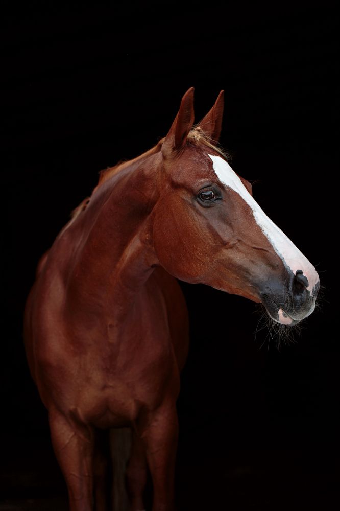 Photograph by Любовь Похабова