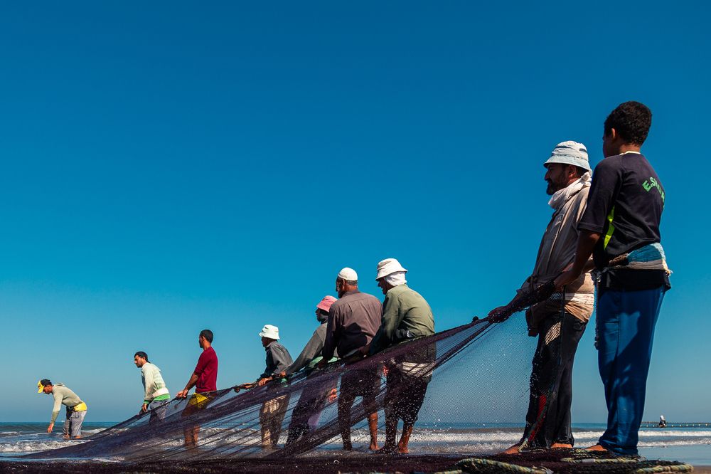 Photograph by Alaa Nour