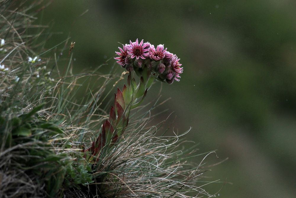 Фотография автора Колосова Елена