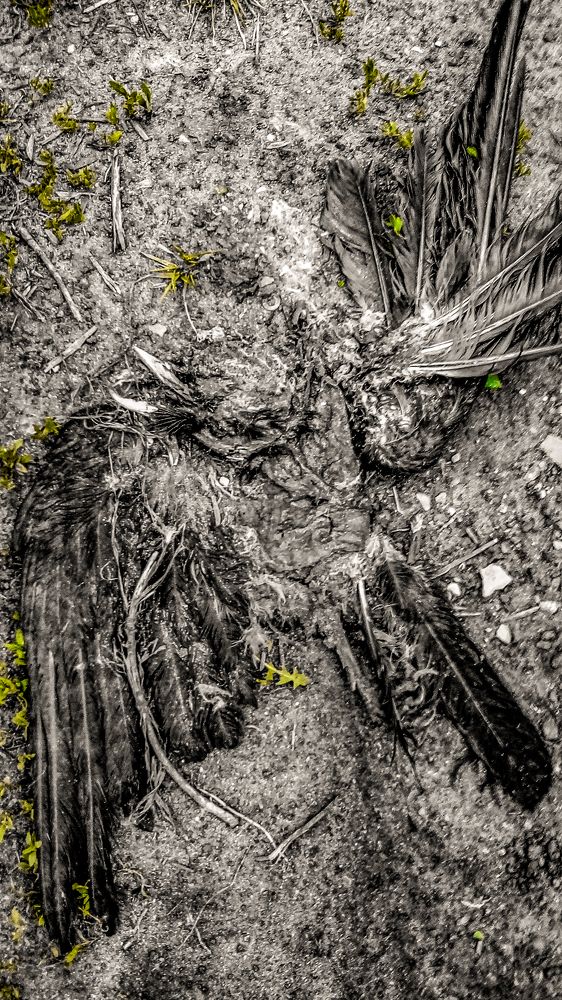 Photograph by Дмитрий Михайлов