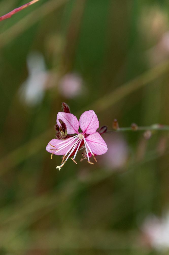Photograph by Ольга Михайлова