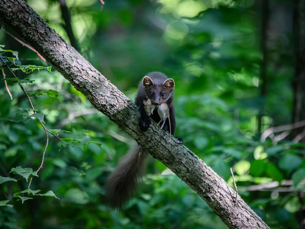 Photograph by Evgenia Loskutova
