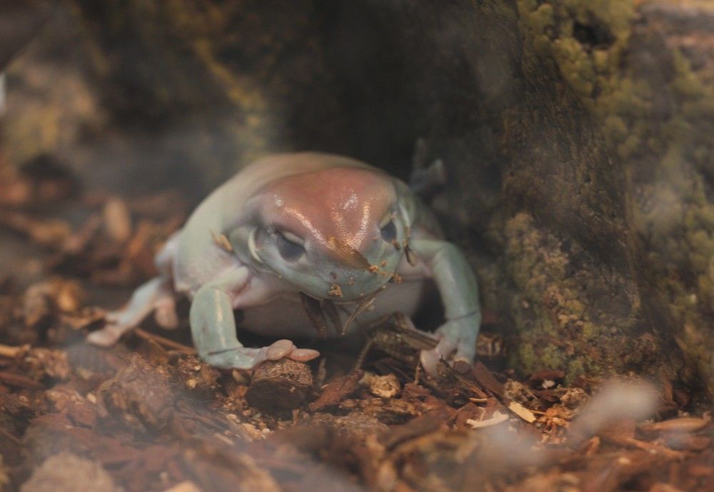 Фотография автора Вячеслав