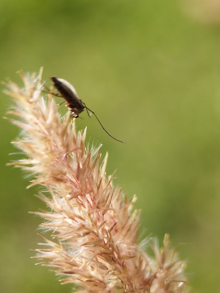 Photograph by Оксана Артимович