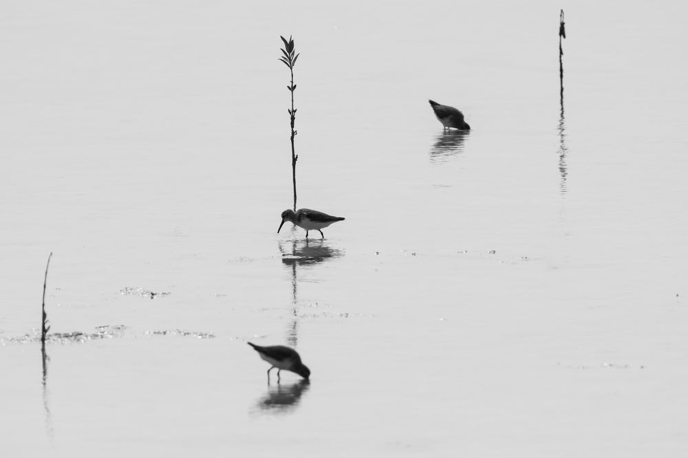 Photograph by Hervie Imus