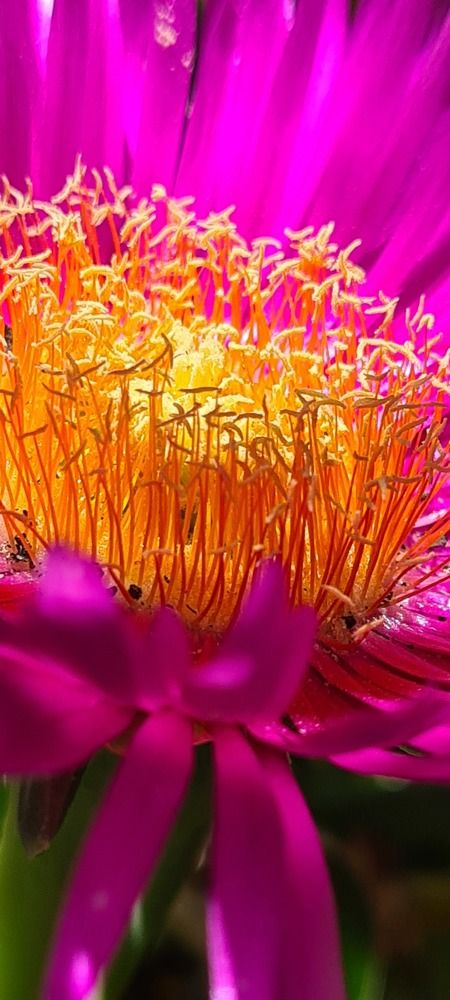 Photograph by Nadzeya