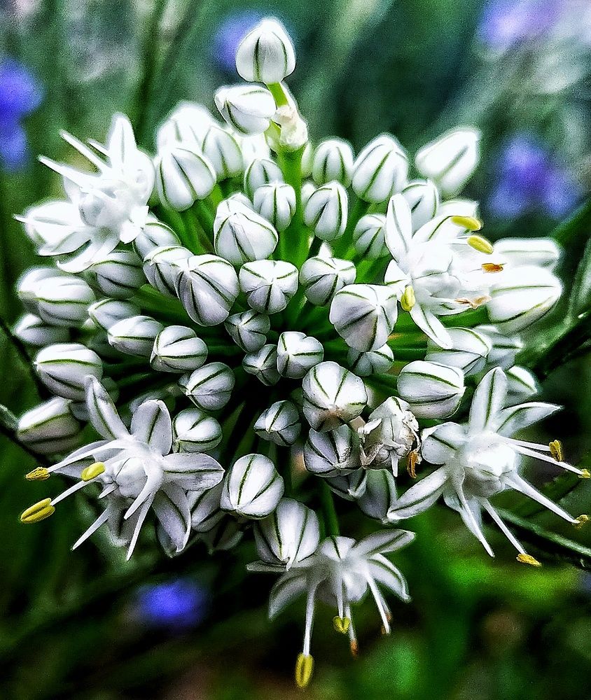 Photograph by Ольга Мартьянова