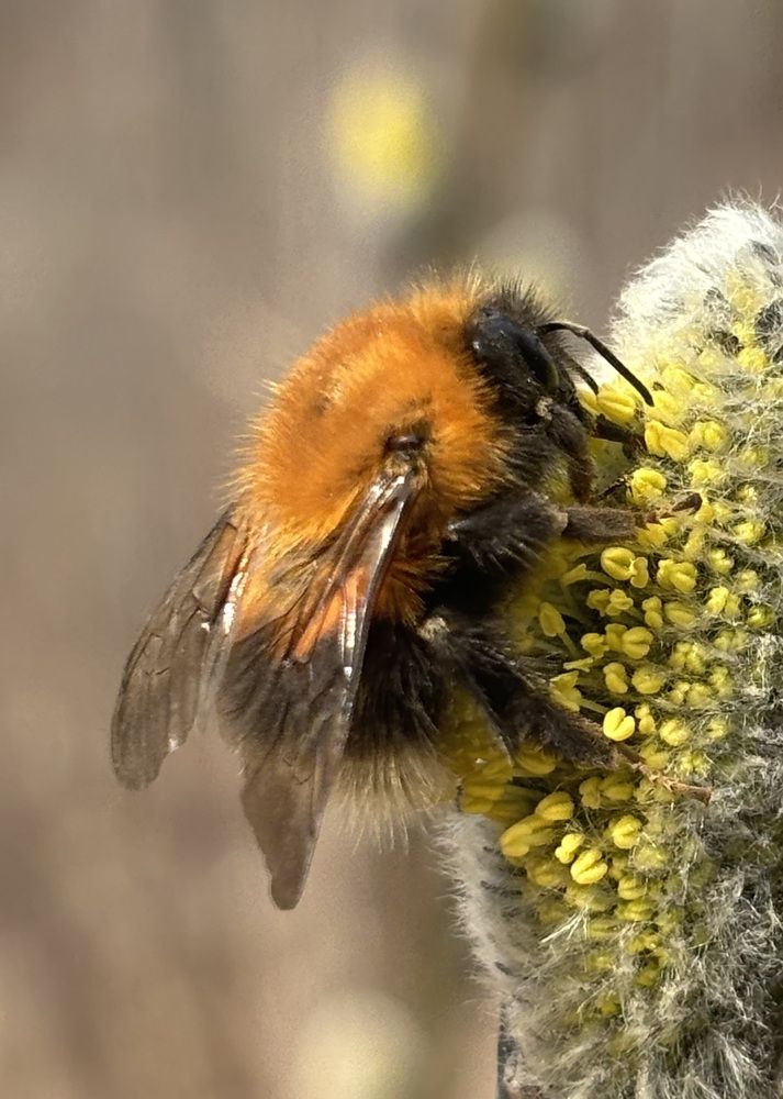 Photograph by Юлия