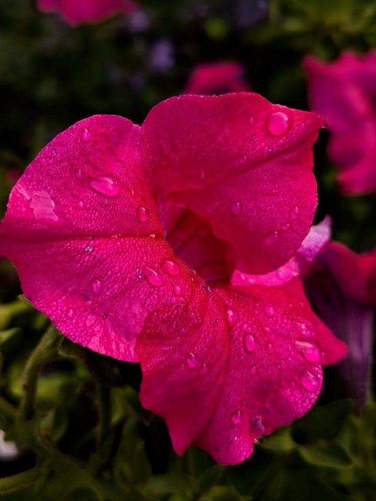 Photograph by Татьяна Яцкевич