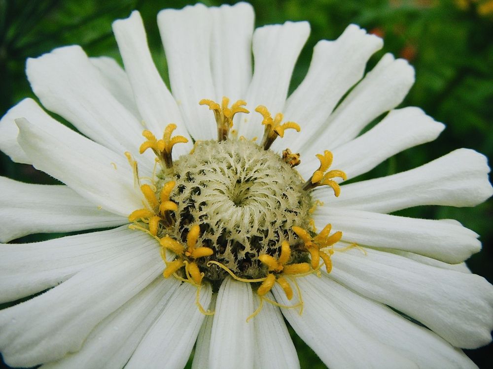 Photograph by Irina Kolotova