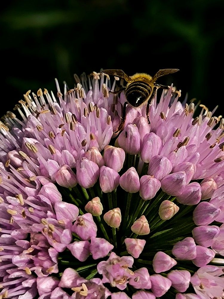 Photograph by Татьяна Яцкевич