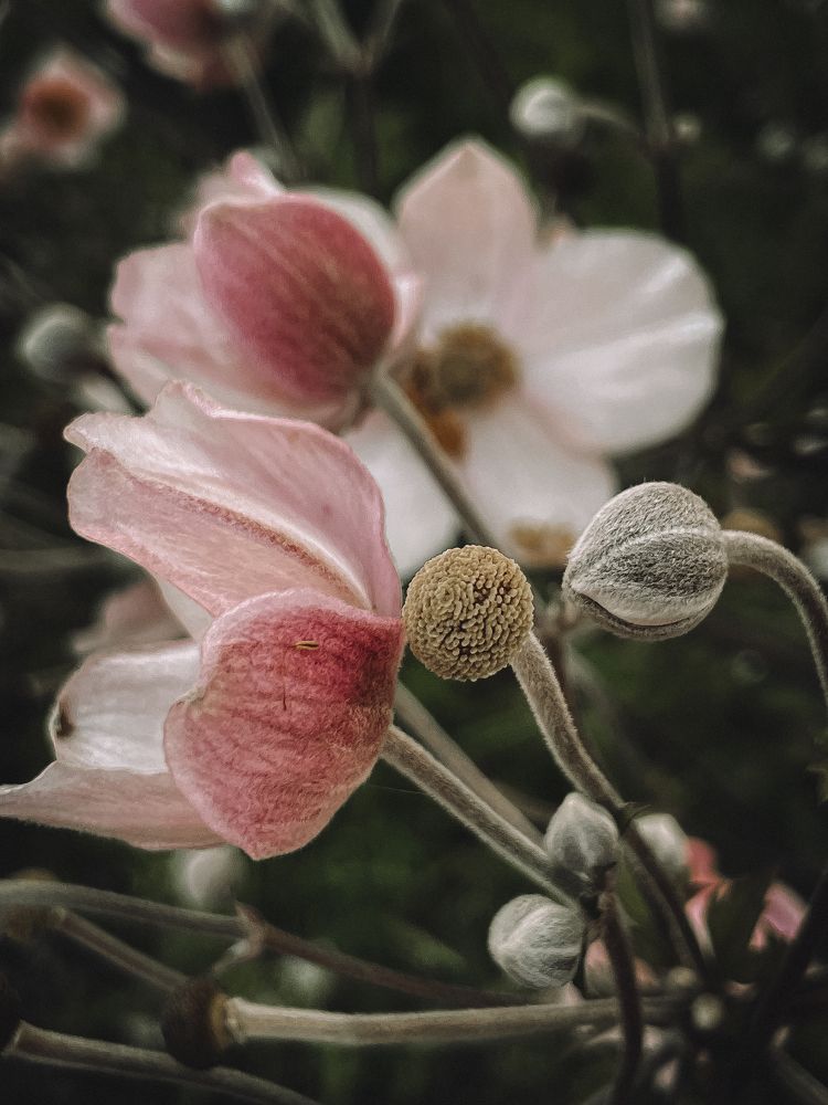 Photograph by Юлия