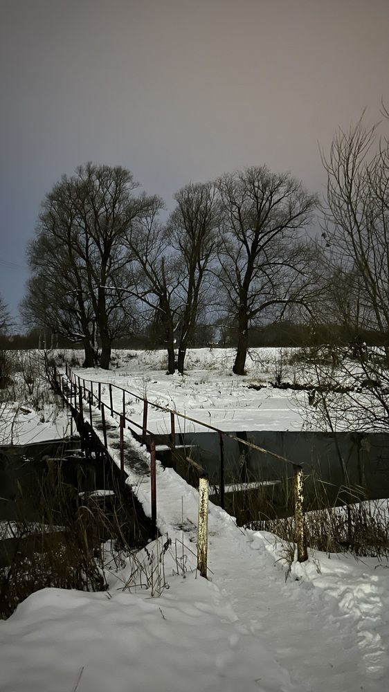 Photograph by Елена Гущина