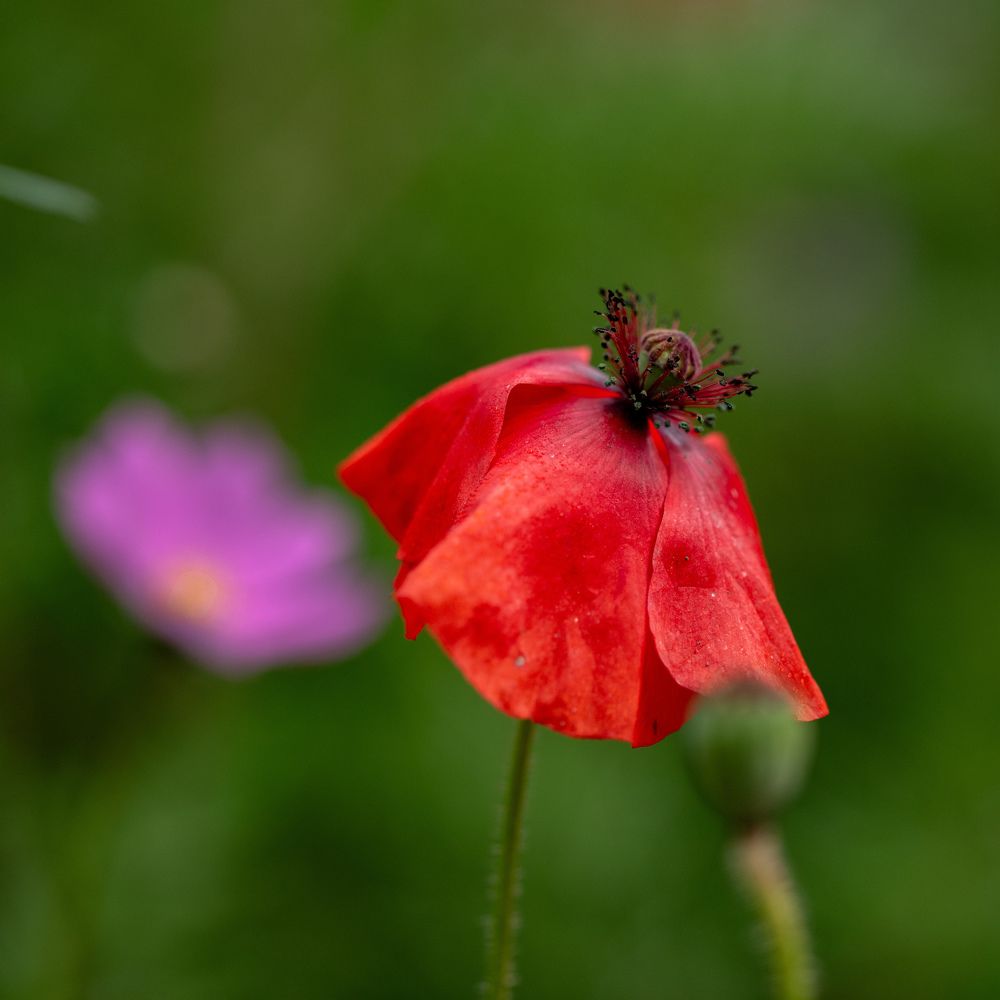 Photograph by Kseniya Shilina