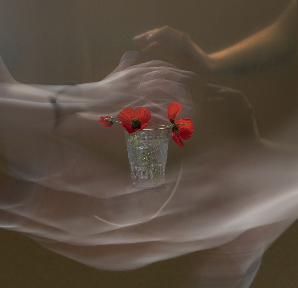 Фотография автора Шипунова Ирина