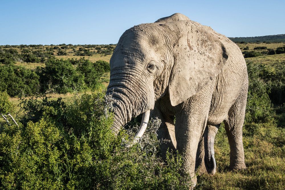 Photograph by Malinda Badenhorst