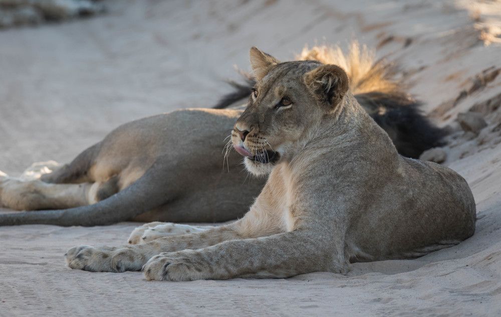 Photograph by Malinda Badenhorst