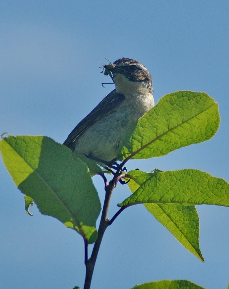 Photograph by Николай Леухин