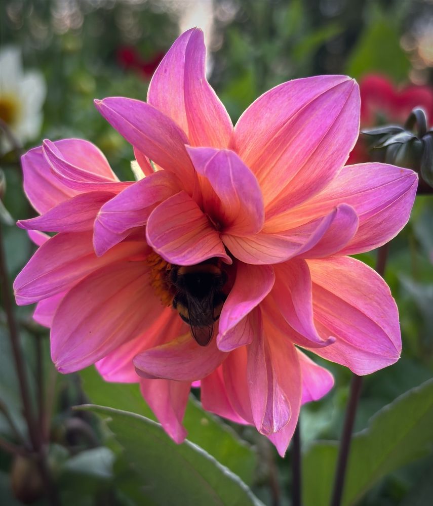 Photograph by Марина